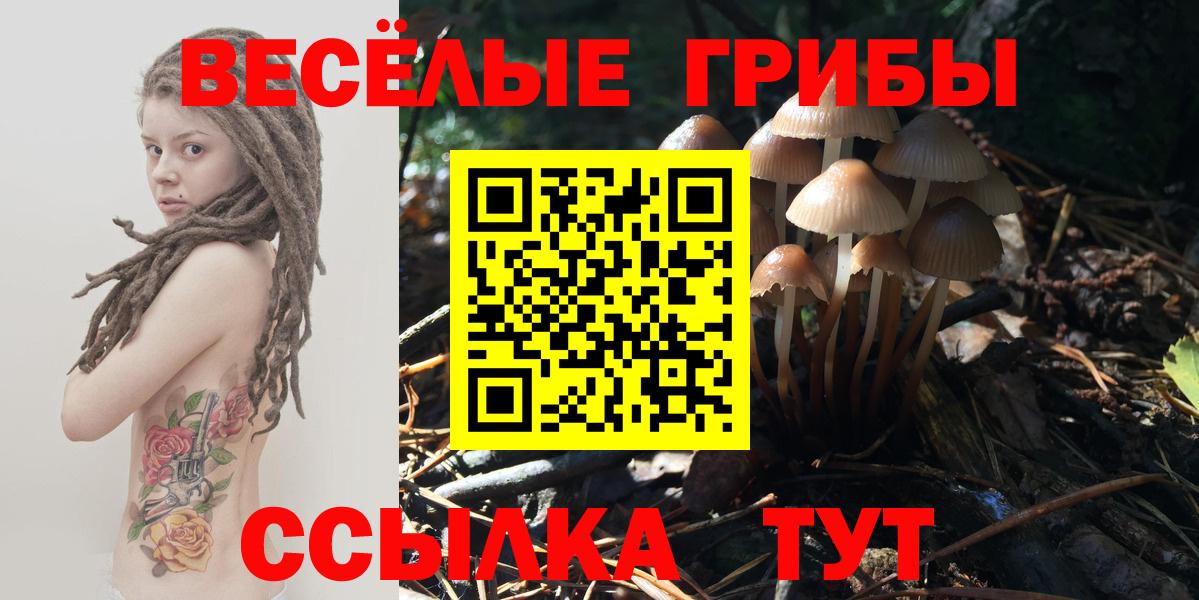 Галлюциногенные грибы GOLDEN TEACHER Миасс