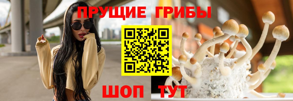 Галлюциногенные грибы ЛСД  Вход с VPN  Миасс 
